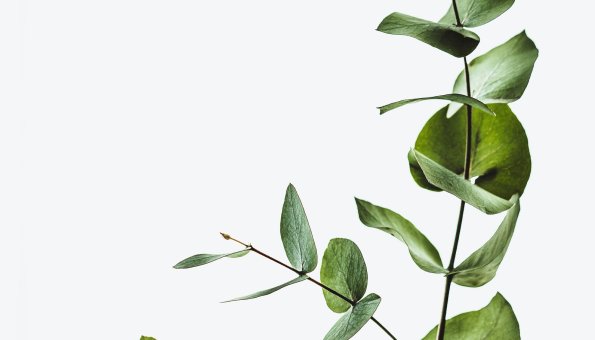 Even voorstellen… Hillechien Boel